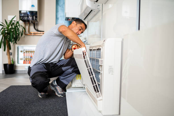 Best Air Duct Sanitizing Services  in Madison Heights, VA